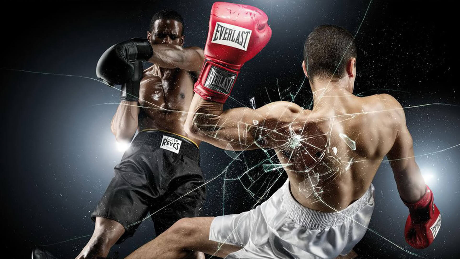 Martial arts in «Nikko Fight Club»